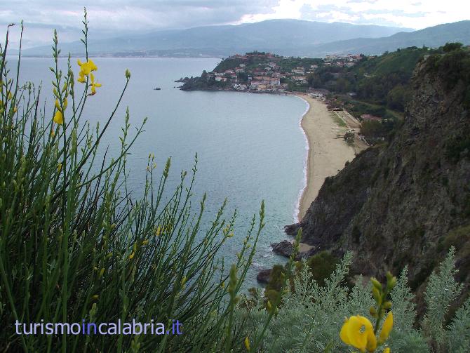 Tra le Ginestre Caminia