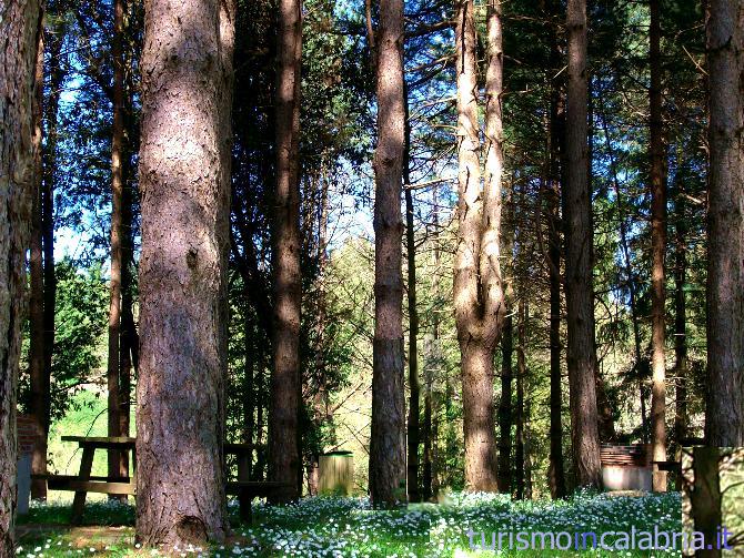 Parco a Vallelonga