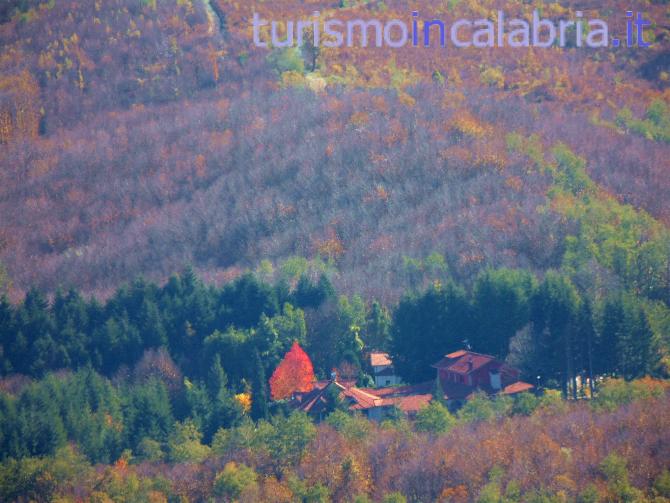 La Magia dell'Autunno nei Boschi