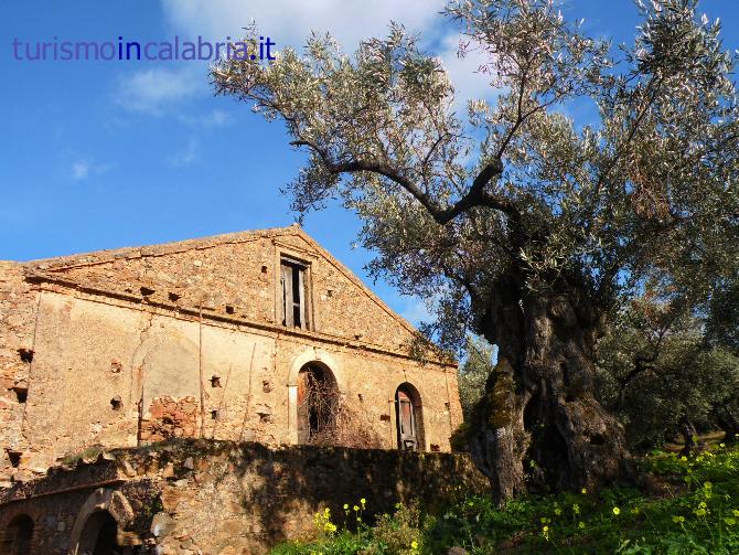 Calabria Paesaggi di Ieri Oggi 