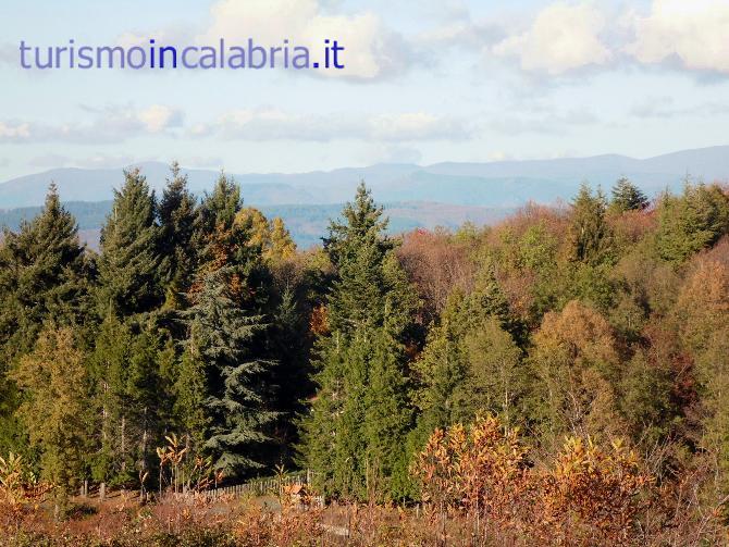 Paesaggio Montano in Calabria