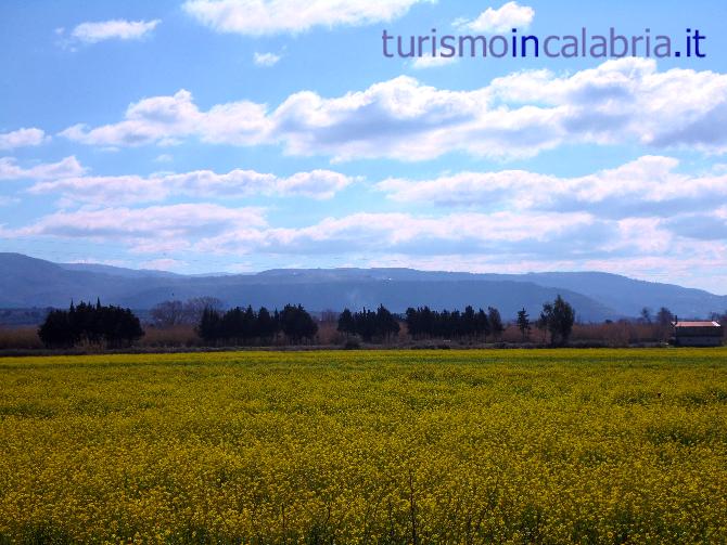 Paesaggio Primaverile in Calabria