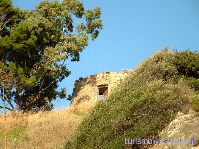 Torre Lupo Dettaglio