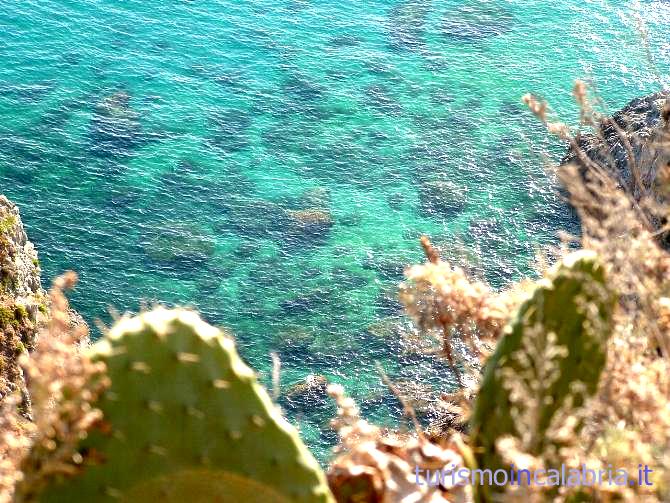 Trasparenze a Capo Vaticano