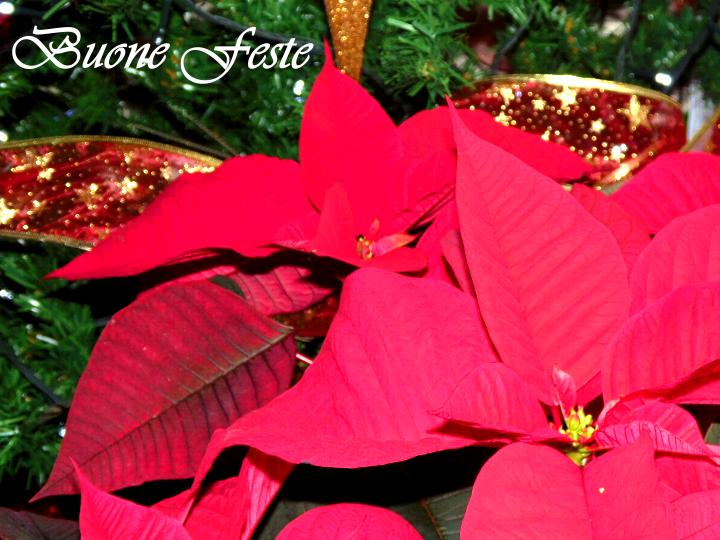 Buone Feste