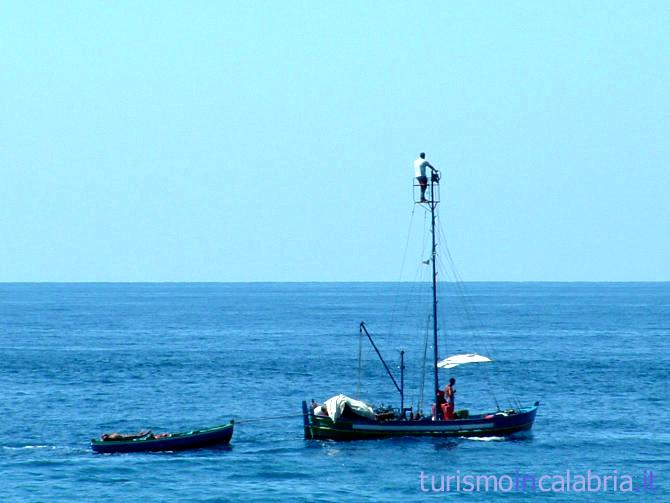 Spadara di Scilla 