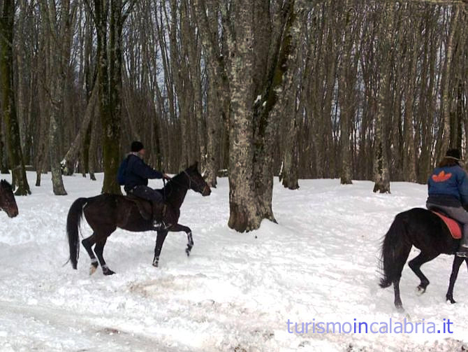 Passeggiata a Cavallo sulla Neve